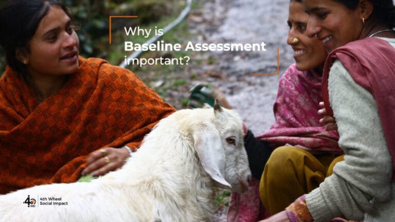 why-is-baseline-assessment-important-the4thwheel