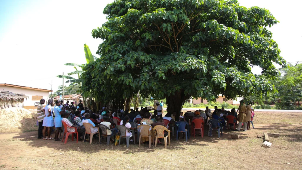 Community meeting under a tree in rural India