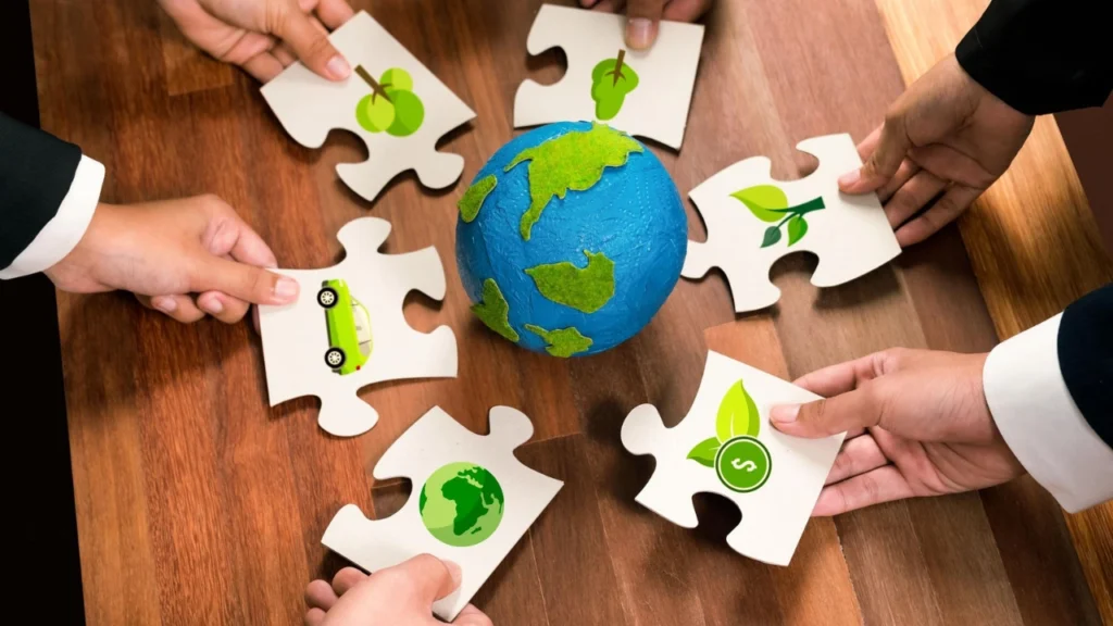 Social impact program puzzle