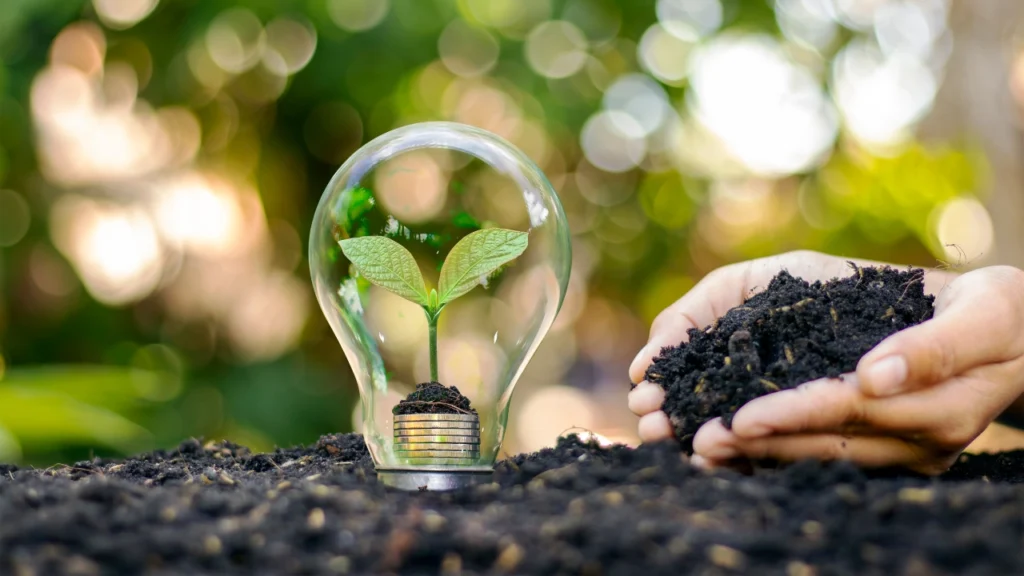 Plant growing inside a lightbulb with soil and coins representsa  EIA